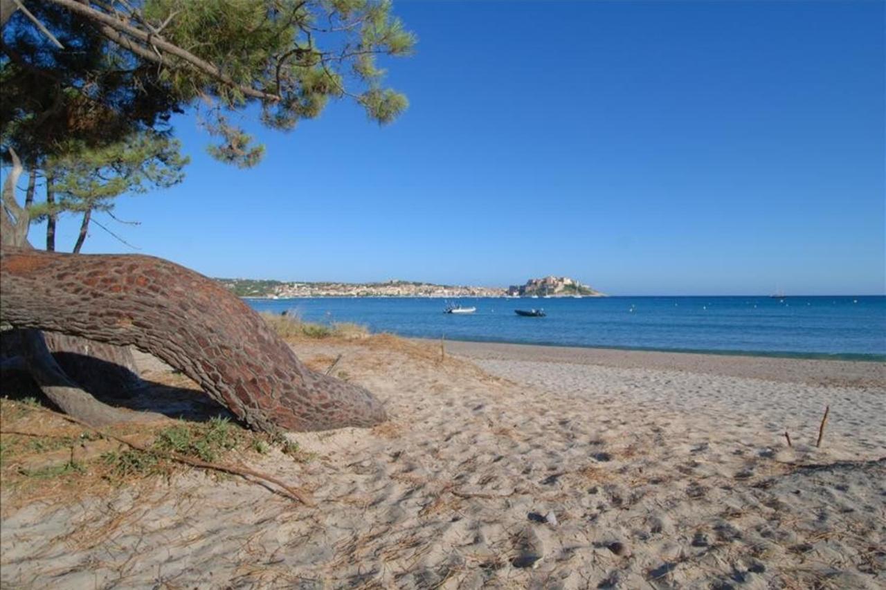 קאלבי Location De Vacances Olivier Jardin Privatif Et Piscine Chauffee Partagee מראה חיצוני תמונה
